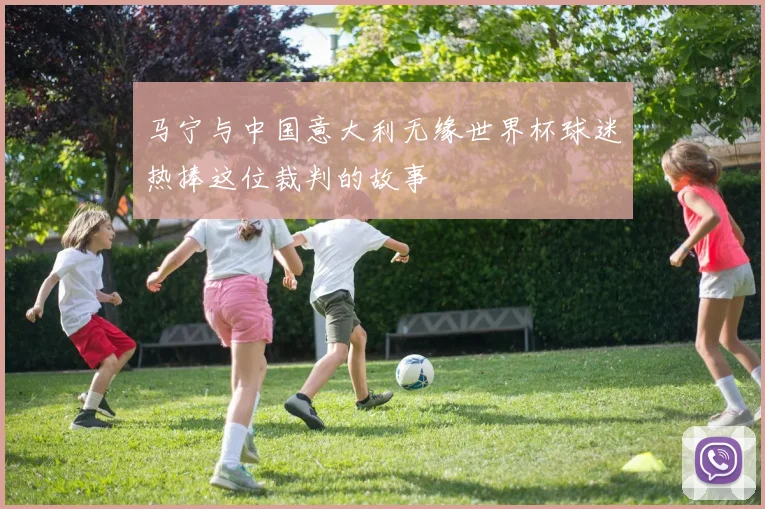 马宁与中国意大利无缘世界杯球迷热捧这位裁判的故事