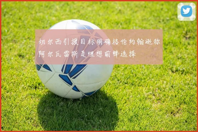 切尔西引援目标明确格伦约翰逊称阿尔瓦雷斯是理想前锋选择